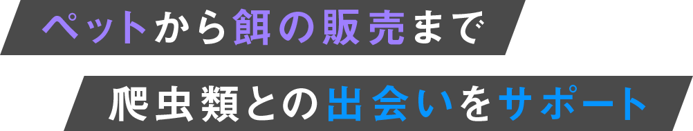 ペットから餌の販売まで爬虫類との出会いをサポート