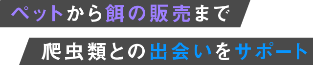 ペットから餌の販売まで爬虫類との出会いをサポート